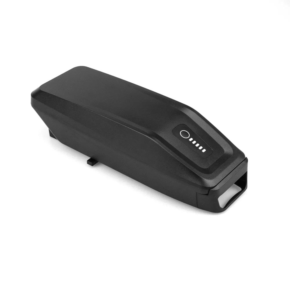 FIT Range Extender Pionion-Modelle 535Wh | 48V | 11.14 AH | Flyer-0