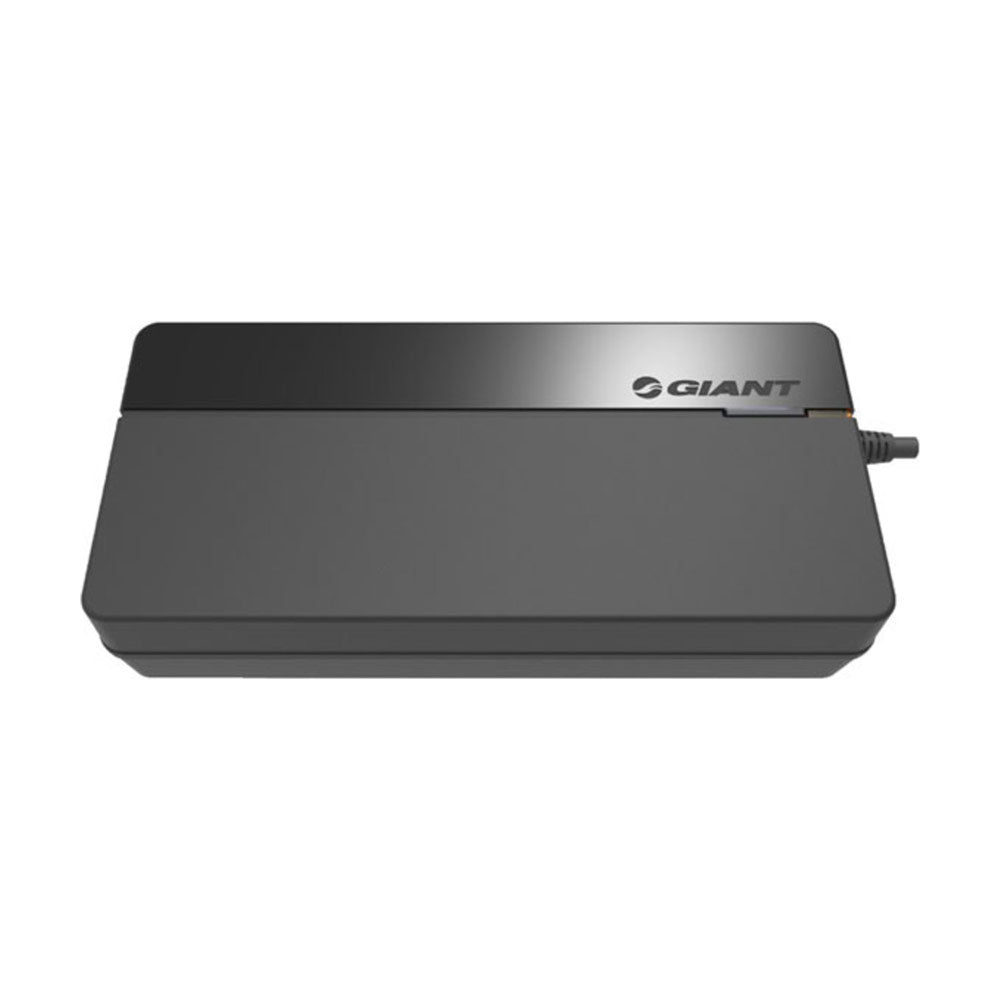 Giant Ladegerät Smart Charger (vollintegrierte Akkus) 6A-0