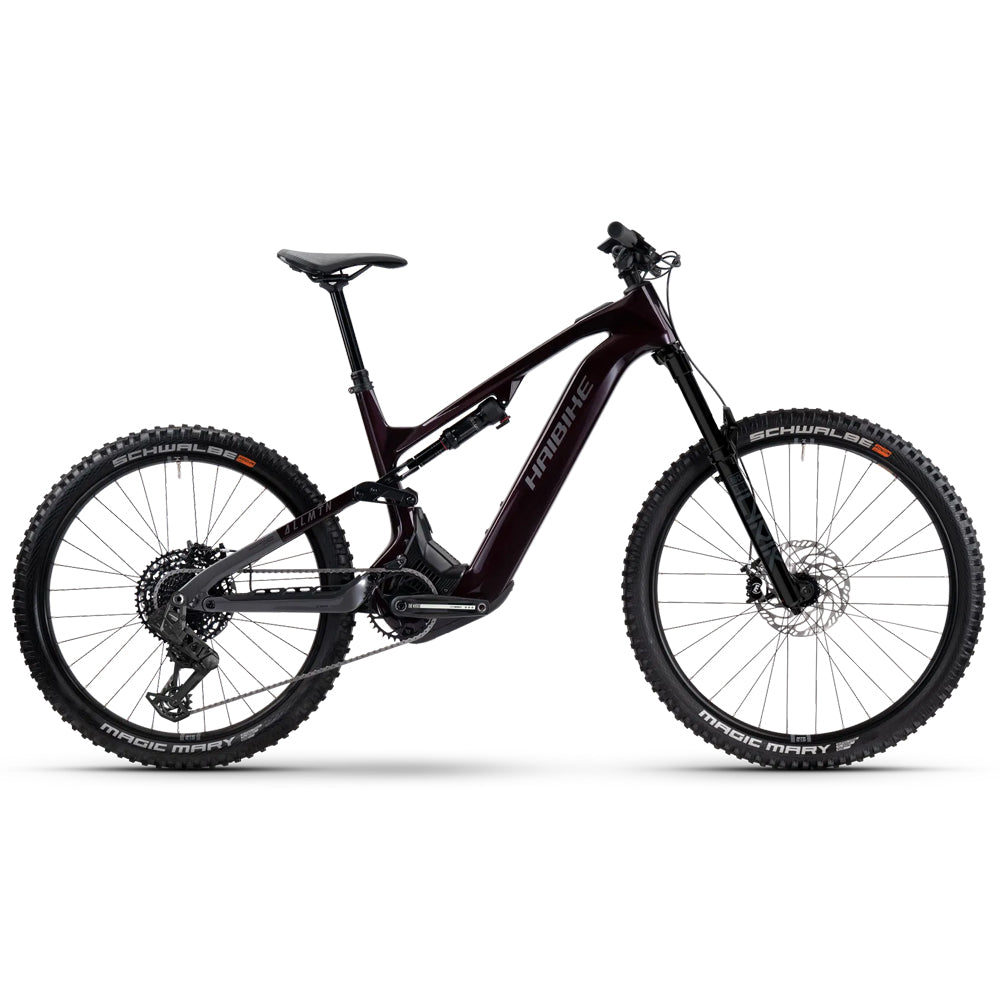 Haibike Allmtn CF 9 black platinum-0