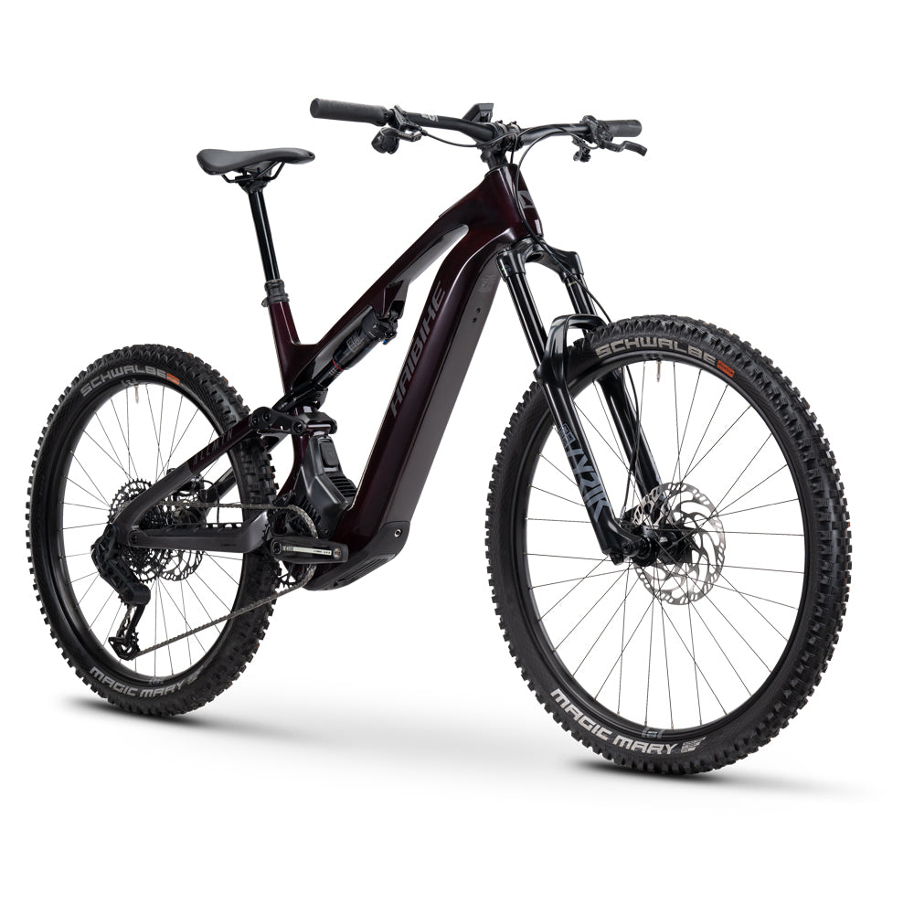 Haibike Allmtn CF 9 black platinum-1