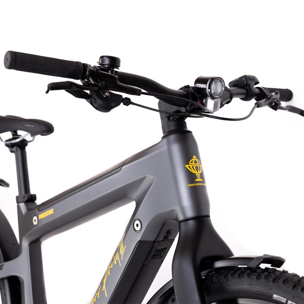 Kneissl Design Carbon Urban Prestige Men 29" 625/1125Wh* Black/Gold 2023 RH 52 cm-1