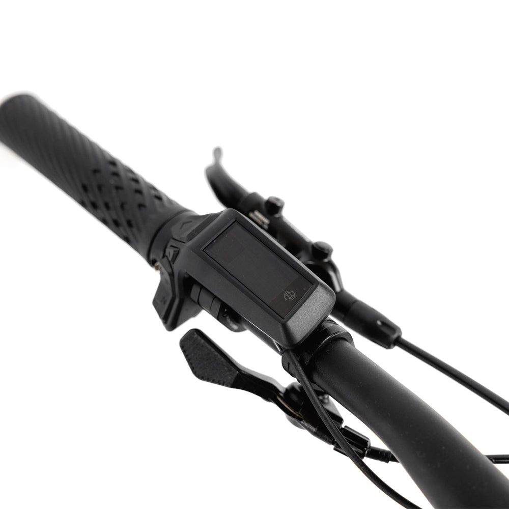 Kneissl Design FS04 2024-2