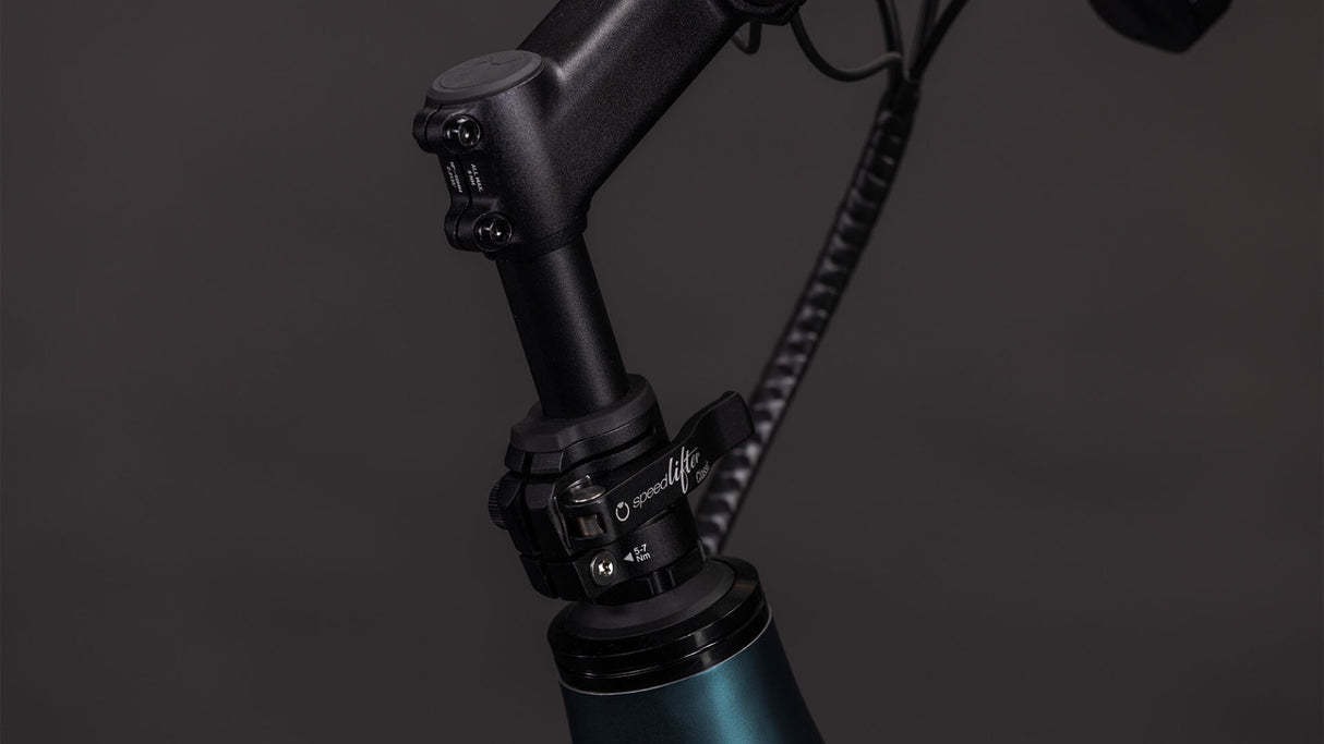 Cube Longtail Hybrid 800 royalgreen´n´black 2026-4