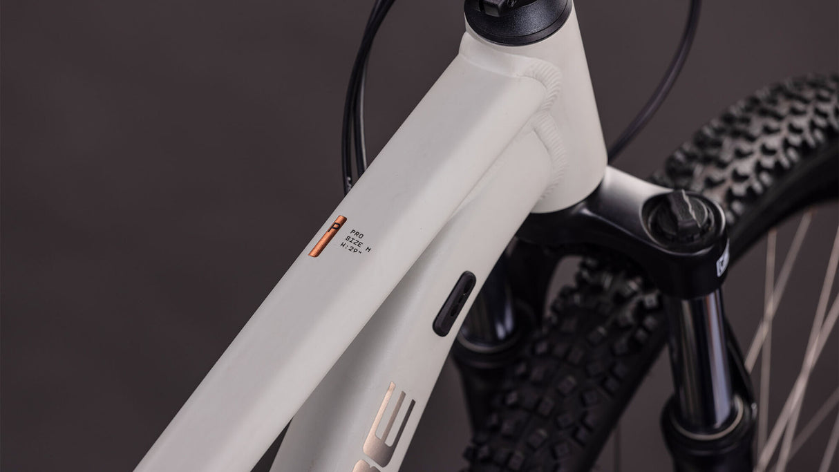 Cube Aim Pro greige´n´titan 2026-1