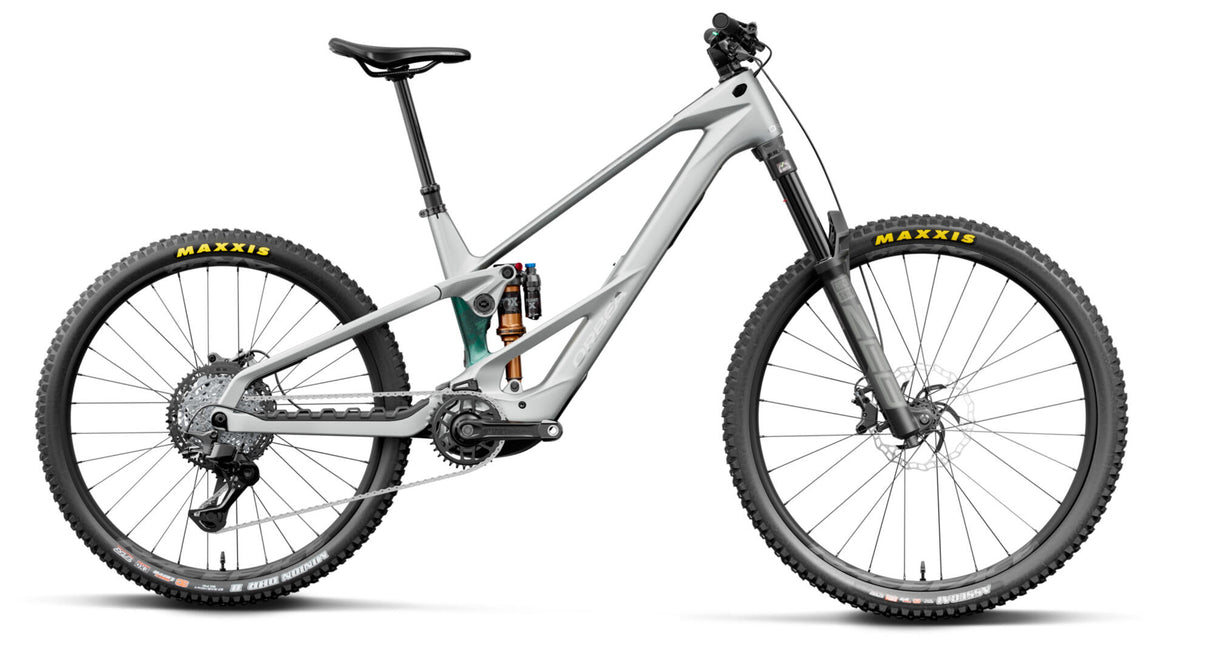 Orbea Wild LT M20 Mullet smooth silver / escape green carbon view-0