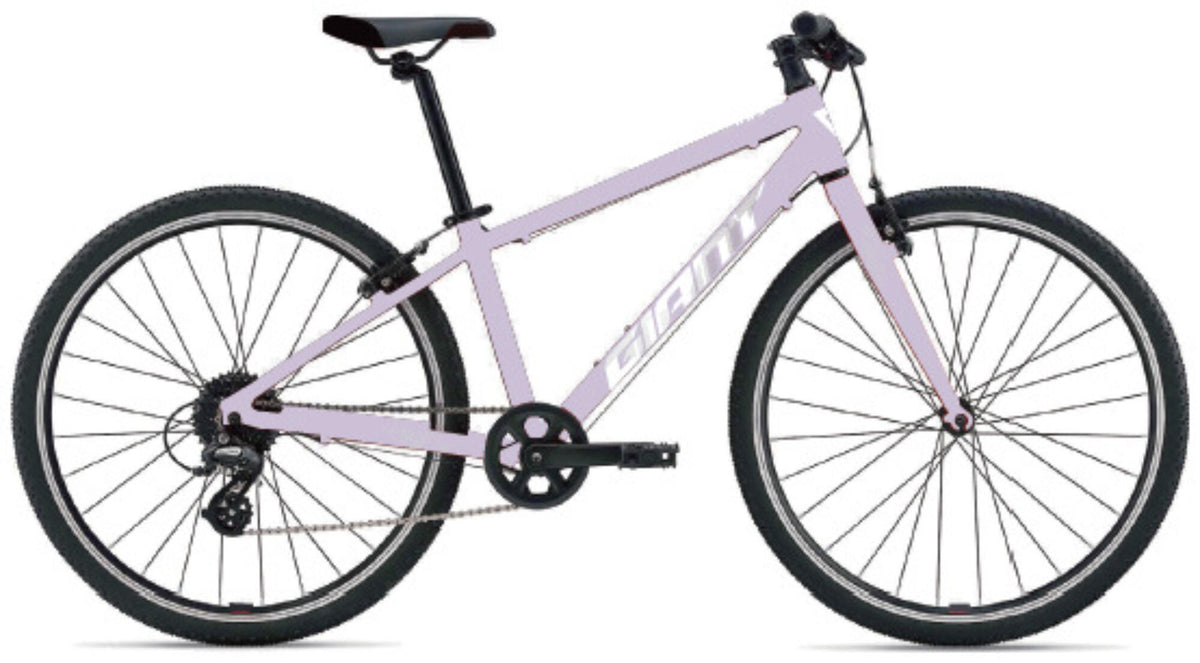 Giant ARX 24 misty lilac-0