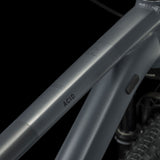 Cube Acid grey´n´pearlgrey 2023-1