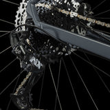 Cube Acid grey´n´pearlgrey 2023-3