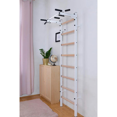 BenchK 221W Sprossenwand-1