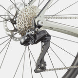 Cannondale Synapse Carbon 2 LE tiger shark 2024-2