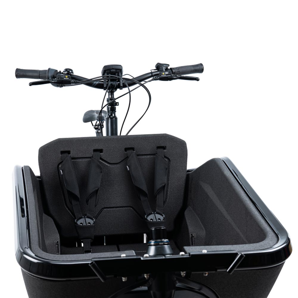 Cube Sicherheitsgurt CARGO black-0