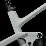 Cube Stereo ONE55 C:62 Race 29 lightgrey´n´grey 2024-4