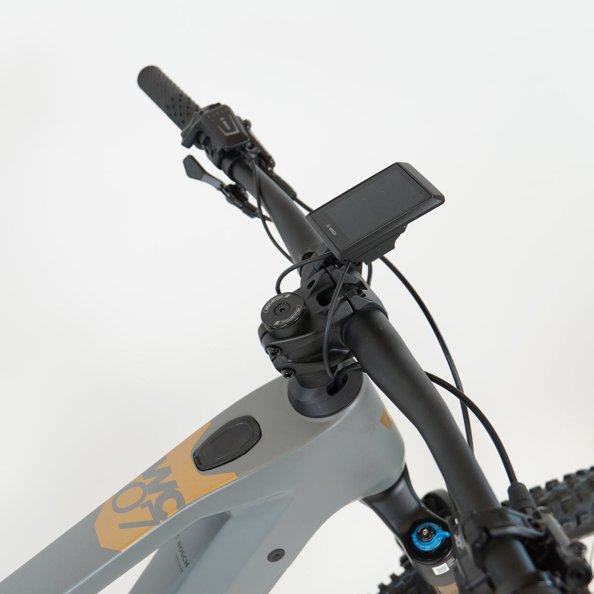 Whistle WC07 anthracite / gold-3