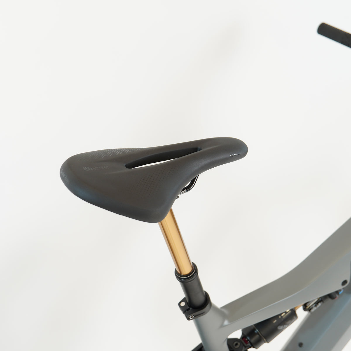Whistle WC07 anthracite / gold-4