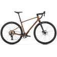 Mondraker Arid S bronze-0