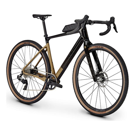 Focus Atlas 8.0 carbonraw / goldrush 2024-1