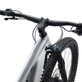 Giant Trance X E+ Pro 29 1 2021-2