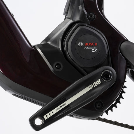 Haibike Allmtn CF 9 black platinum-2