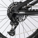 Haibike Allmtn CF 9 black platinum 2026-0