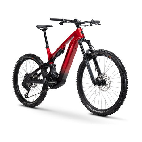 Haibike Allmtn CF 9 red black platinum-1
