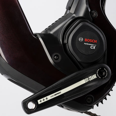 Haibike Allmtn CF 9 red black platinum-2