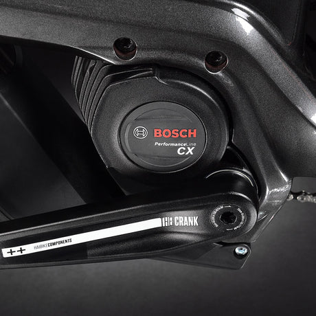 Haibike Trekking Cross 9 Low Step anthracite/red 2022-1