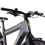 Kneissl Design Carbon Urban Prestige Men 29" 625/1125Wh* Black/Gold 2023 RH 52 cm-1