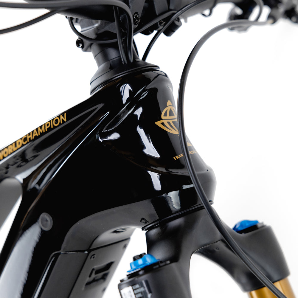 Kneissl Design World Champion 2024-1