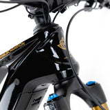 Kneissl Design World Champion 2024-1