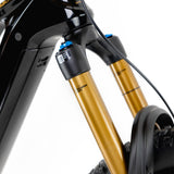 Kneissl Design World Champion 2024-3