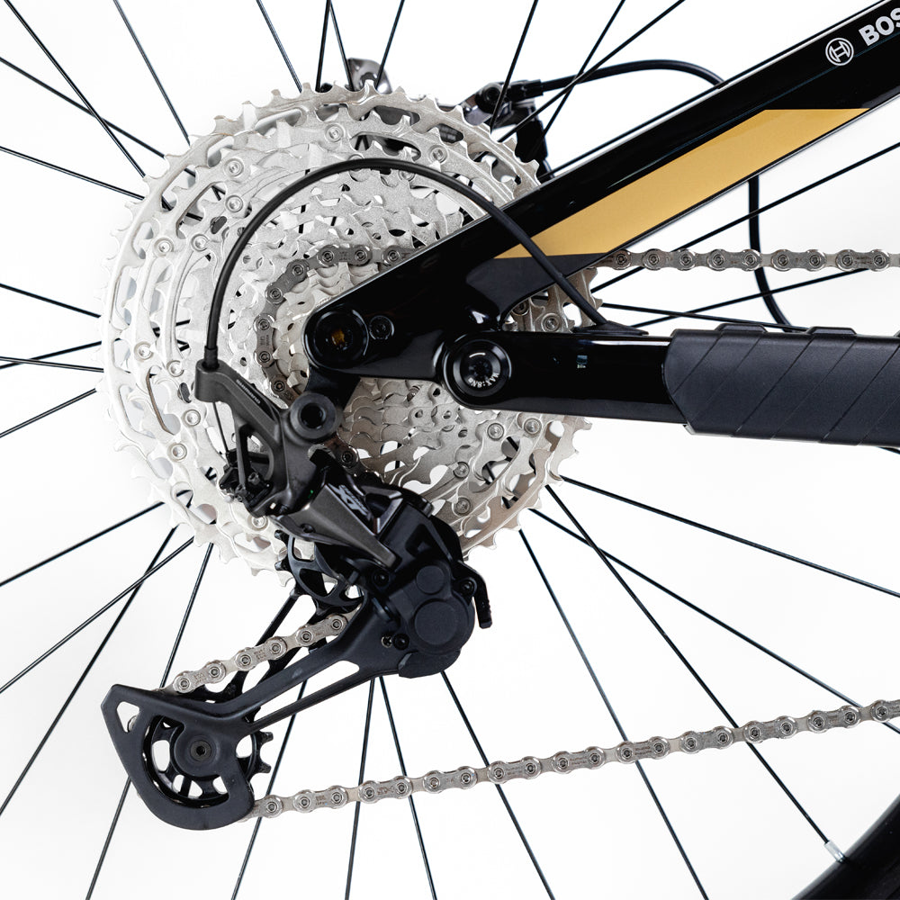 Kneissl Design World Champion 2024-7
