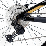 Kneissl Design World Champion 2024-7