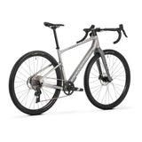 Mondraker Arid R golden silver-2