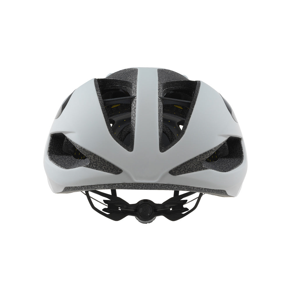 Oakley Helm ARO5 - Europe Fog Gray-1