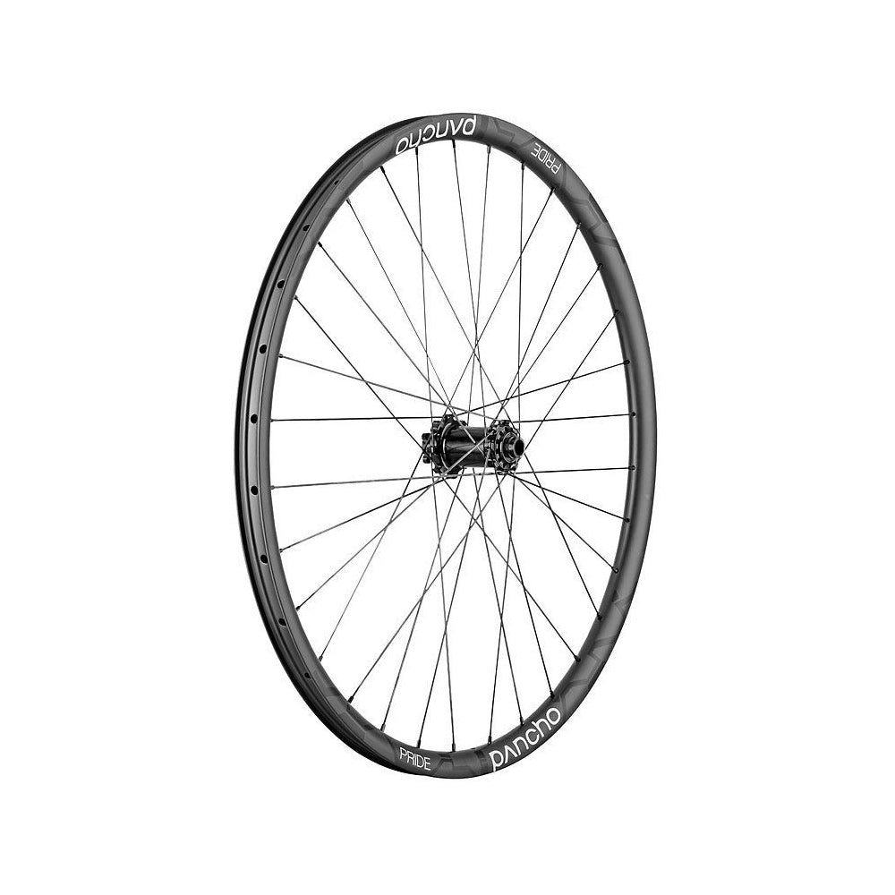 Panchowheels Vorderrad Pride 29" Pancho Nabe Pride 6 Loch, Straightpull, 110/15mm Boost-0