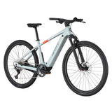 Scott Passage 20 flake grey 2025-1