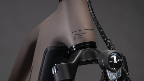 Cube Kathmandu Hybrid EXC 800 cedar´n´chrome 2026 Trapeze-5