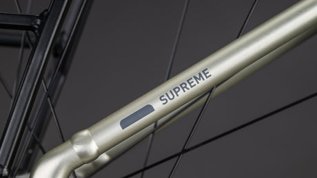Cube Supreme RT Hybrid Comfort EXC 600 champagne´n´grey 2026 Easy Entry-4