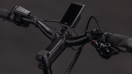 Cube Longtail Hybrid 800 royalgreen´n´black 2026-3