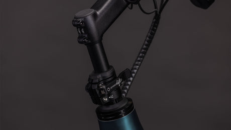 Cube Longtail Hybrid 800 royalgreen´n´black 2026-4