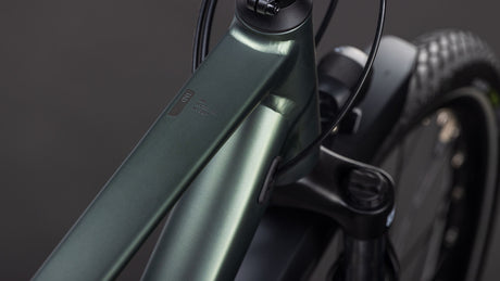 Cube Kathmandu ONE sagebrushgreen´n´green 2026-1