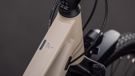 Cube Kathmandu ONE oatgrey´n´grey 2026 Trapeze-3