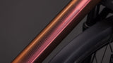 Cube Kathmandu Pro sunglow´n´prizm 2026-3