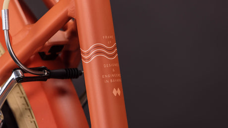 Cube Aruba papaya´n´creme 2026 Easy Entry-4