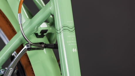 Cube Aruba cactus´n´brown 2026 Easy Entry-4