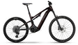Haibike Allmtn CF 9 black platinum 2026-0
