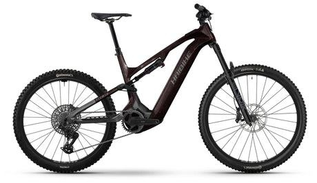 Haibike Allmtn CF 9 black platinum 2026-0
