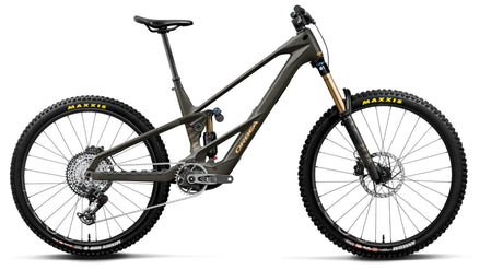 Orbea Wild LT M-Team RS Mullet magic gold carbon view / titan gold-0