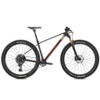 Mondraker Podium Carbon R desert grey (US)-0
